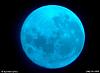 Blue_Moon's Avatar