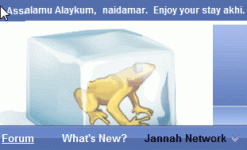 ScreenHunter_05 Feb. 25 21.00.gif