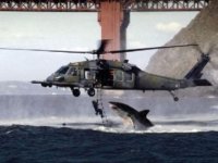 Shark&Helicopter.jpg