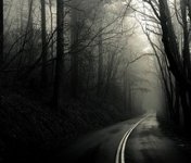 black,,,white,dark,gloomy,nature,road-0d81dc2a01cefc2956b76fe57c5e43d5_m.jpg