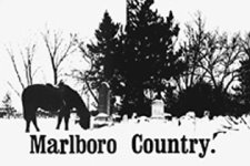 marlborocemetary.jpg