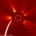 lovejoy_154019.jpg lovejoy_154019.jpg