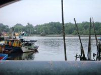 DSC00417.jpg