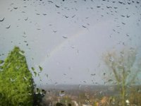 20081123 rainbow.jpg