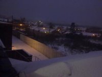 shnowy.jpg