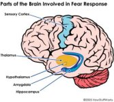 fear-4.jpg
