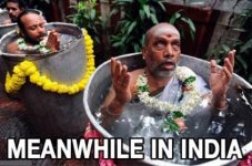 meanwhile-in-india.jpg