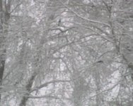 IMG00566.jpg