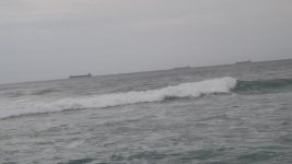 DSC01586.jpg