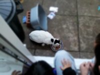 2012-04-11 08.45.14.jpg