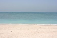 IMG_4107.jpg