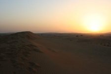 IMG_3247.jpg