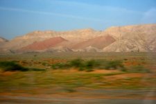 IMG_2196.jpg