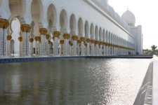 IMG_2448.jpg