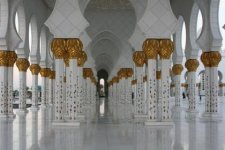 IMG_2618.jpg