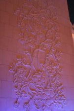 IMG_2635.jpg