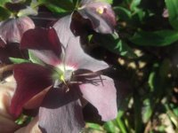 DSCF1616.jpg