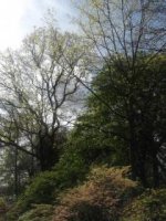DSCF1619.jpg