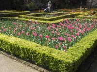 DSCF1631.jpg