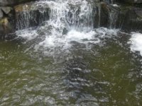 DSCF1664.jpg