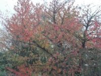 DSCF1180.jpg