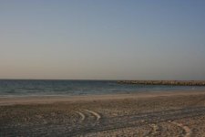 IMG_2801.jpg