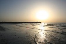 IMG_2816.jpg