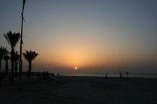 IMG_2847.jpg