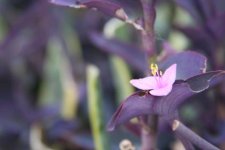 IMG_3498.jpg