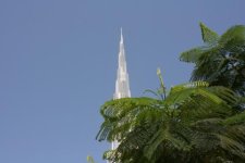 IMG_3506.jpg