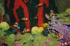 IMG_3686.jpg