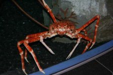 IMG_3700.jpg
