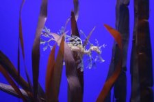 IMG_3706.jpg