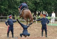 horse j.jpg