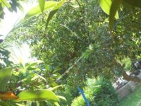 DSCN1550.jpg