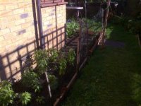 Photo0692.jpg
