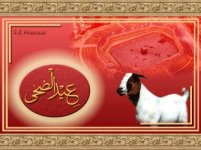 eid-ul-azha.jpg