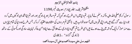 1196 Duniya ma like Died.jpg