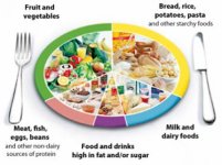 eatwell plate 377 sized.jpg