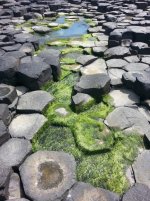 20130525_132604.jpg