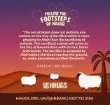 HHugs Qurbani -05.jpg