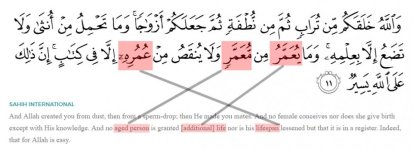 umar meaning.jpg