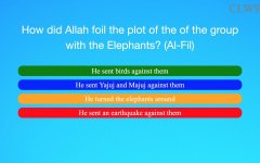 Screen Shot 2017-01-28 at 12.41.48 AM.jpg