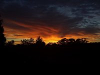 sunrise.jpg