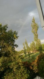 IMG-20170221-WA0001.jpg