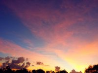 20170301_164525.jpg