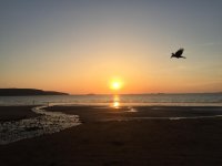 IMG_8320.jpg