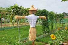 500_F_29086500_LiQS8JoAsBoN05dLKarw3LUEDQZXohIz.jpg