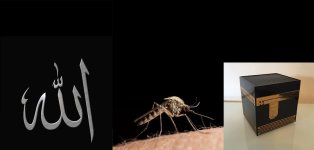 parable-even-of-a-mosquito.jpg