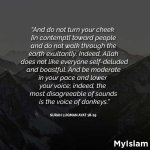 Surah-Luqman-18-19.jpg